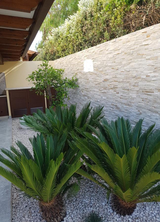 B&B Aloe Comfort Rooms Сан-Вито-Ло-Капо Экстерьер фото